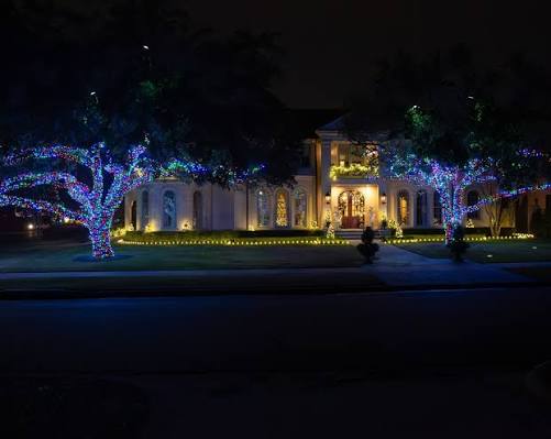 Mixed blue and warm lights wrapped through mature trees along a driveway